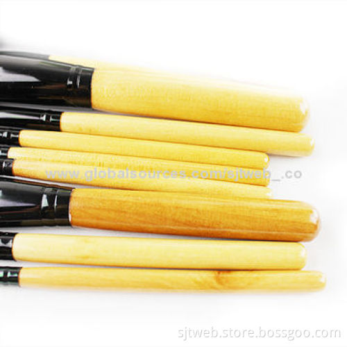 10-piece Powder Makeup Brush Set with 20*12cm Size